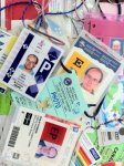 Assortment of Press Accreditations